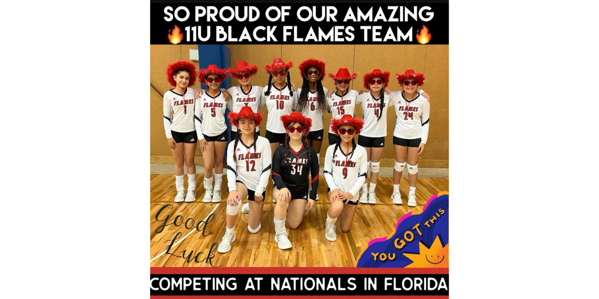 flames carrousel image 3 (1)